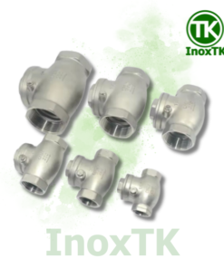 Van một chiều lá lật ren trong inox 304