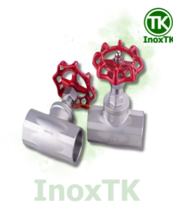 Van hơi ren trong inox 304